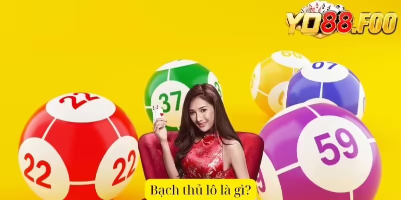 Bạch thủ lô là gì?
