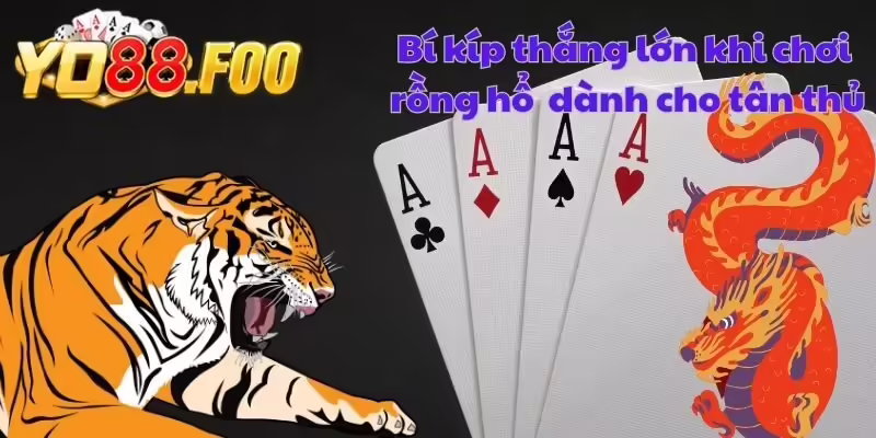 Bí kíp thắng lớn khi chơi rồng hổ dành cho tân thủ