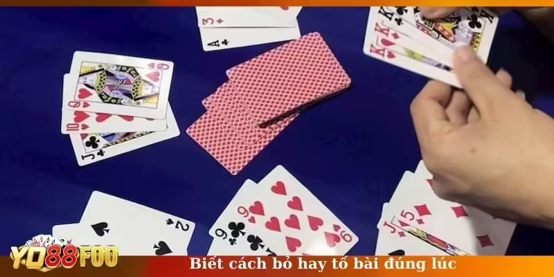 Biết cách bỏ bài hay tố bài đúng lúc