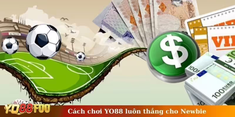 Cách chơi YO88 luôn thắng cho Newbie