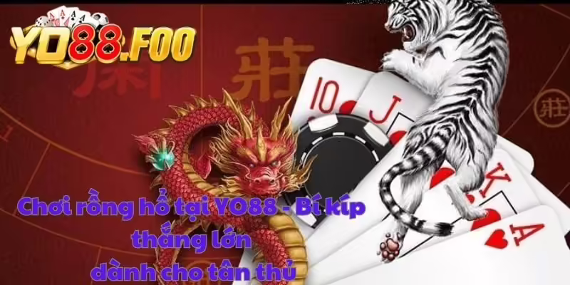 Chơi rồng hổ tại YO88 - Bí kíp thắng lớn dành cho tân thủ