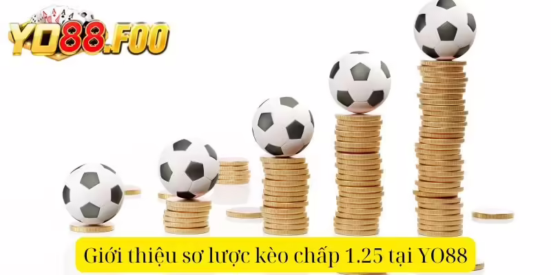 Giới thiệu sơ lược kèo chấp 1.25 tại YO88