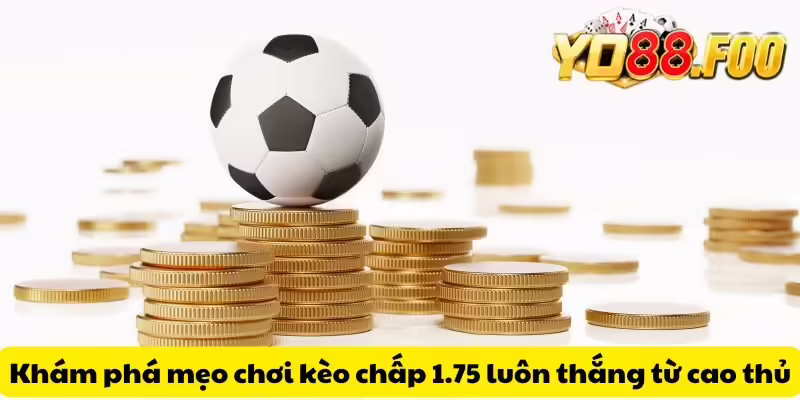 Khám phá mẹo chơi kèo chấp 1.75 luôn thắng từ cao thủ