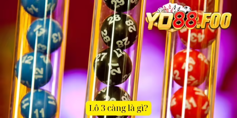 Lô 3 càng là gì?