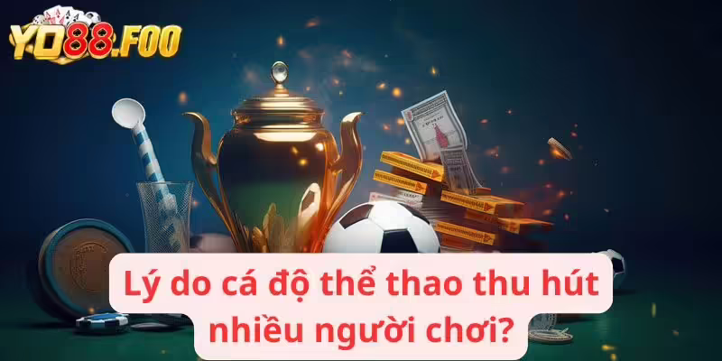 Lý do cá độ thể thao thu hút nhiều người chơi?