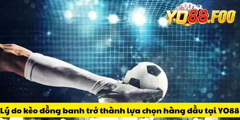 Lý do kèo đồng banh trở thành lựa chọn hàng đầu tại YO88