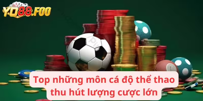 Top những môn cá độ thể thao thu hút lượng cược lớn