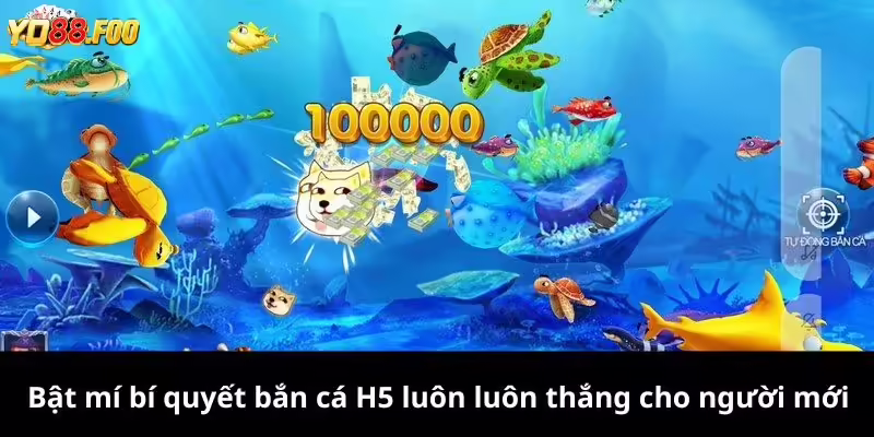 Bật mí bí quyết bắn cá H5 luôn luôn thắng cho người mới