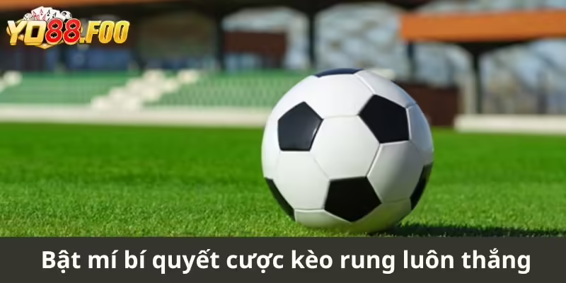 Bật mí bí quyết cược kèo rung luôn thắng cho người chơi