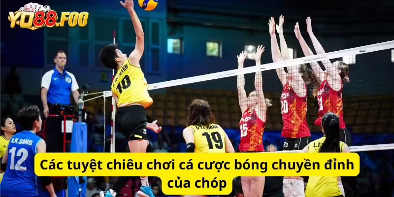Các tuyệt chiêu chơi cá cược bóng chuyền đỉnh của chóp