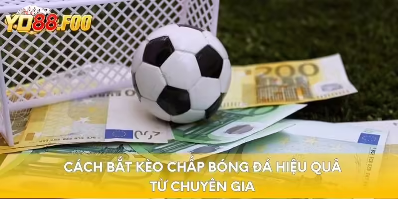 Cách bắt kèo chấp bóng đá hiệu quả từ chuyên gia