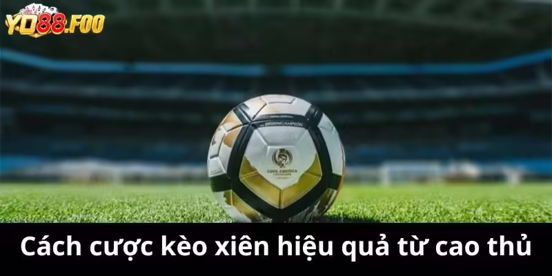 Cách cược kèo xiên hiệu quả từ cao thủ