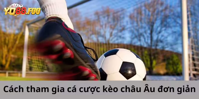 Cách tham gia cá cược kèo Châu Âu đơn giản nhất