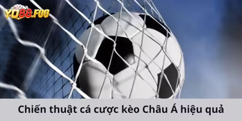 Chiến thuật cá cược kèo Châu Á hiệu quả từ cao thủ