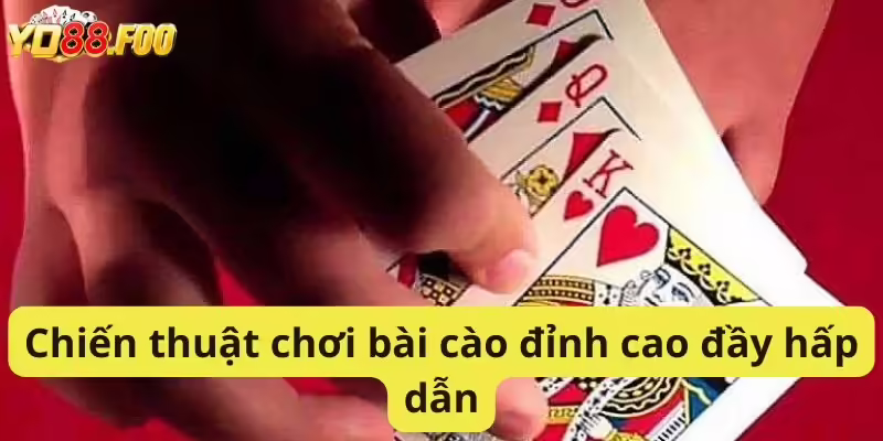 Chiến thuật chơi bài cào đỉnh cao đầy hấp dẫn