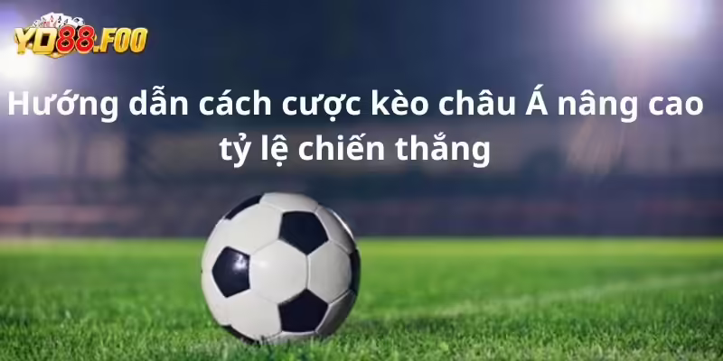 Hướng dẫn cách cược kèo Châu Á nâng cao tỷ lệ chiến thắng