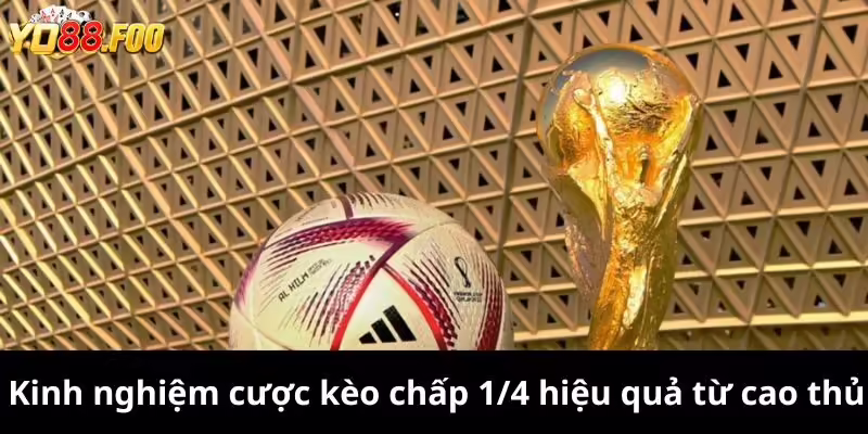 Kinh nghiệm cược kèo chấp 1/4 hiệu quả từ cao thủ