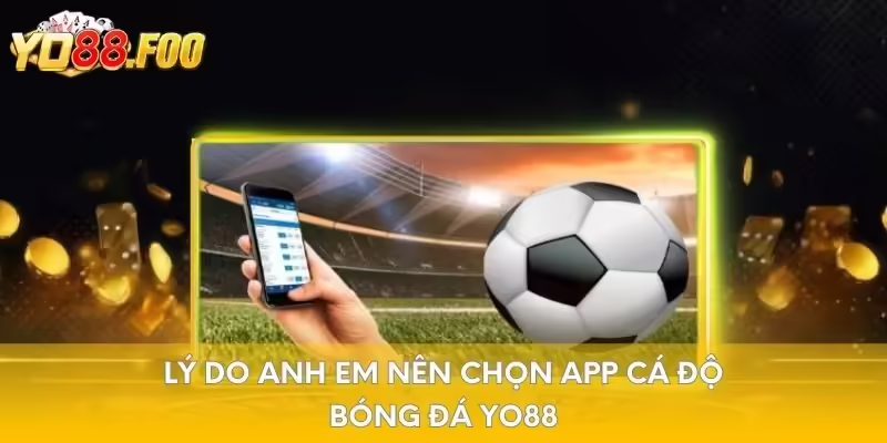 Lý do anh em nên chọn app cá độ bóng đá Yo88