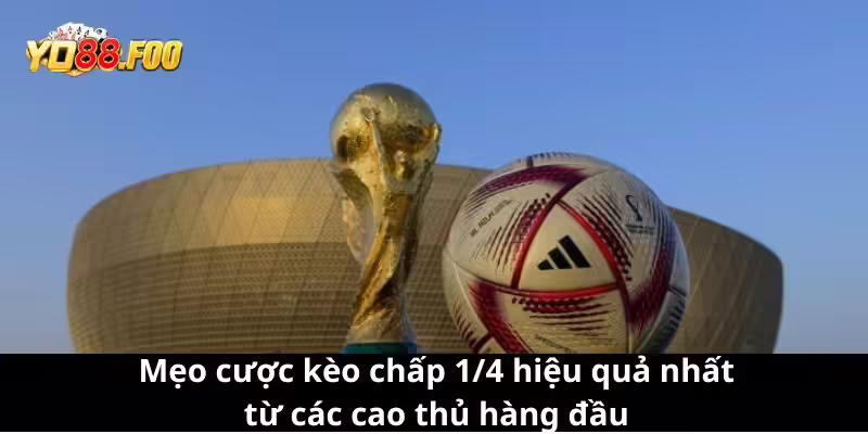 Mẹo cược kèo chấp 1/4 hiệu quả nhất từ các cao thủ hàng đầu