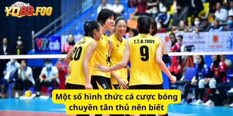 Một số hình thức cá cược bóng chuyền tân thủ nên biết