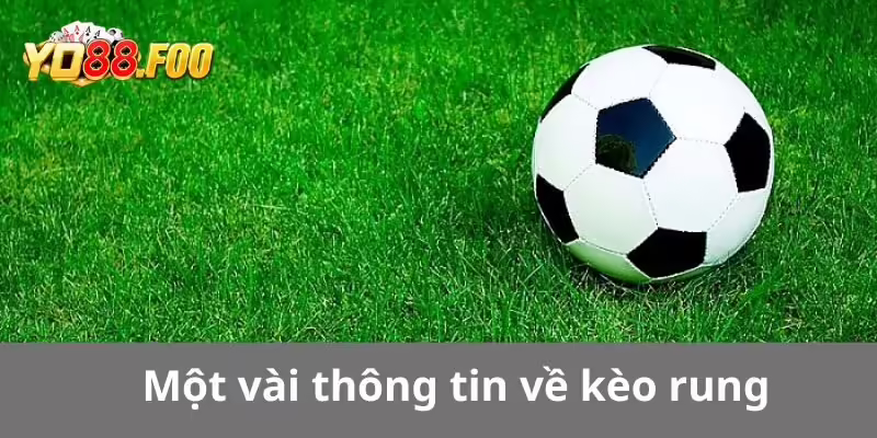 Một vài thông tin về kèo rung