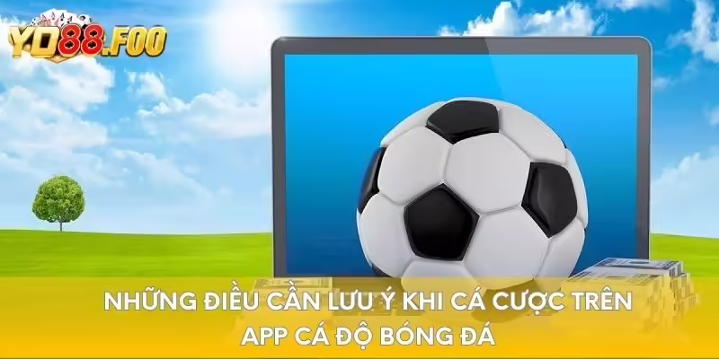 Những điều cần lưu ý khi cá cược trên app cá độ bóng đá