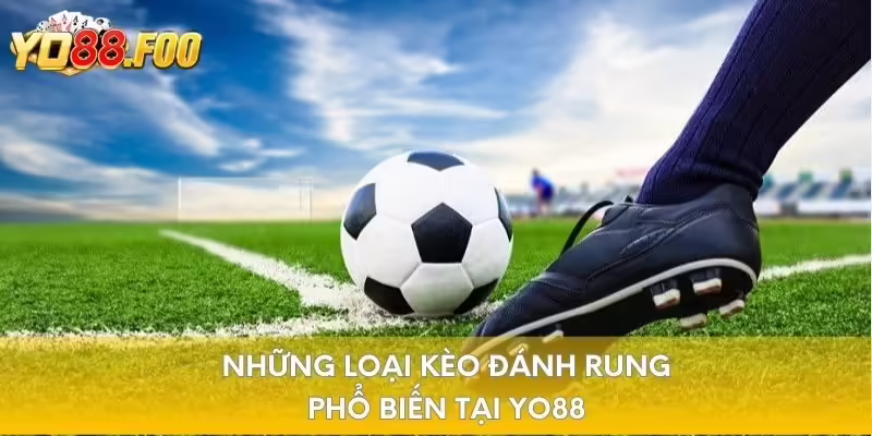 Những loại kèo đánh rung phổ biến tại Yo88