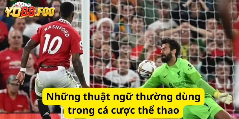 Những thuật ngữ thường dùng trong cá cược thể thao