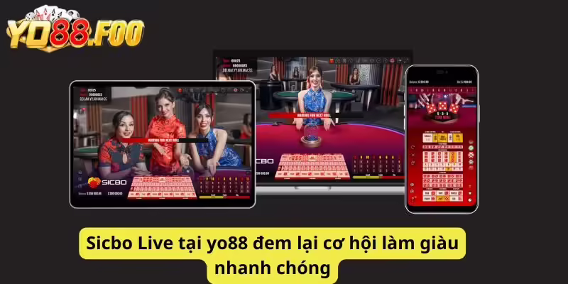 Sicbo Live tại yo88 đem lại cơ hội làm giàu nhanh chóng