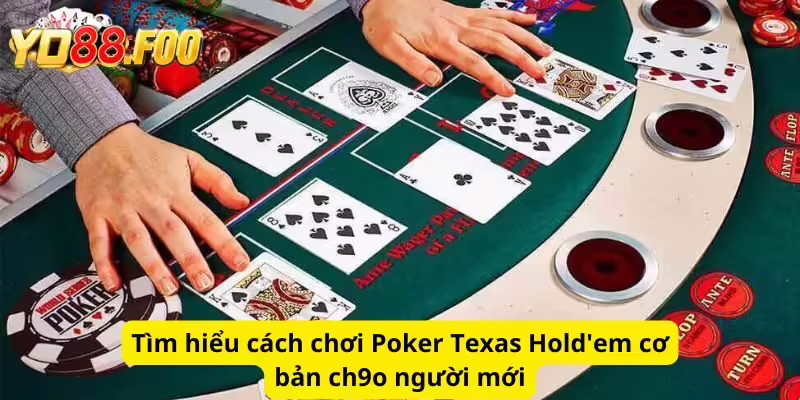 Tìm hiểu cách chơi Poker Texas Hold'em cơ bản ch9o người mới