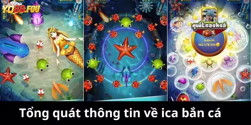 Tổng quát thông tin về ica bắn cá