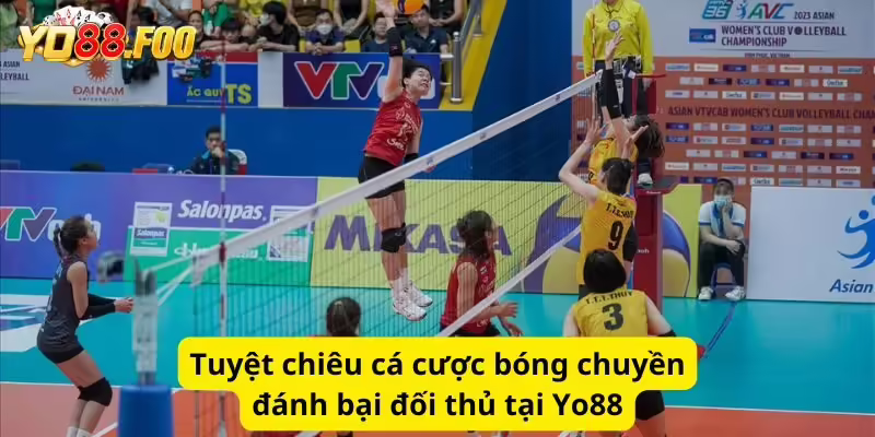 Tuyệt chiêu cá cược bóng chuyền đánh bại đối thủ tại Yo88