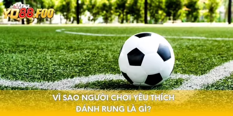 Vì sao người chơi yêu thích đánh rung là gì?