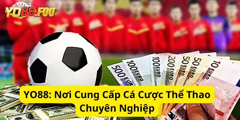 YO88 - Nơi Cung Cấp Cá Cược Thể Thao Chuyên Nghiệp