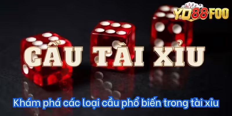 Khám phá các loại cầu phổ biến trong tài xỉu