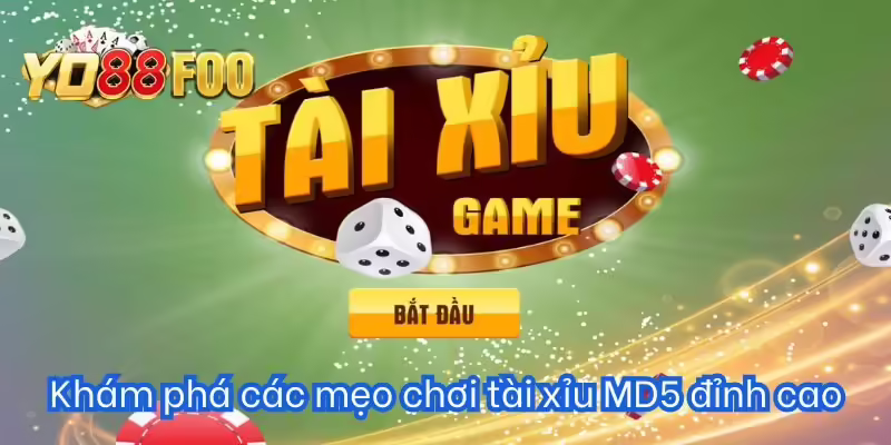 Mẹo đánh tài xỉu đỉnh cao dành cho mọi bet thủ