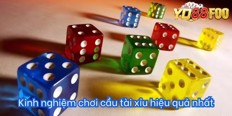 Kinh nghiệm chơi cầu tài xỉu hiệu quả nhất