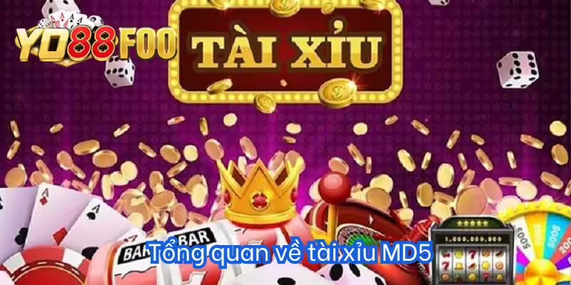 Tổng quan về tài xỉu MD5