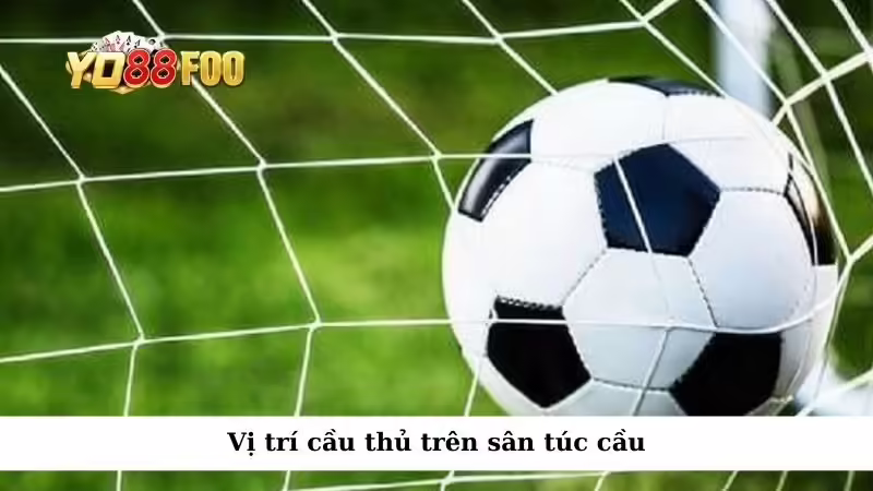Vị trí cầu thủ trên sân túc cầu