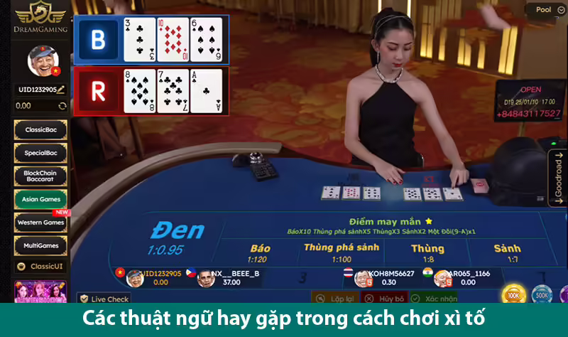 Thuật ngữ và cách chơi bài xì tố chuẩn nhất cho các cược thủ